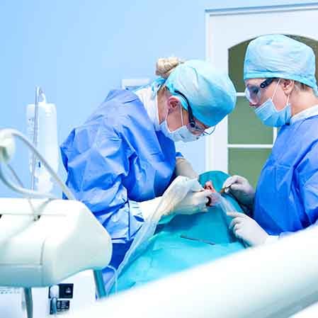 dental implant placement procedure